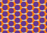 design seamless pattern for textiles and packaging
